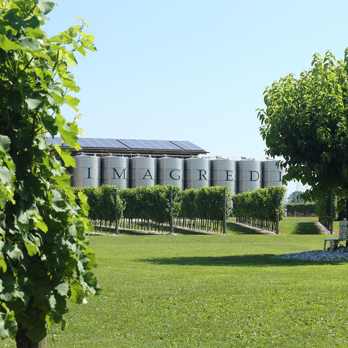 Cantina I Magredi