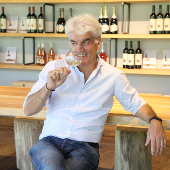 L'eccellenza vinicola del Friuli nella comodità della tua casa.